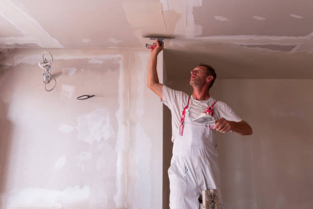 Professional Drywall and Painting Service in Brocton, NY